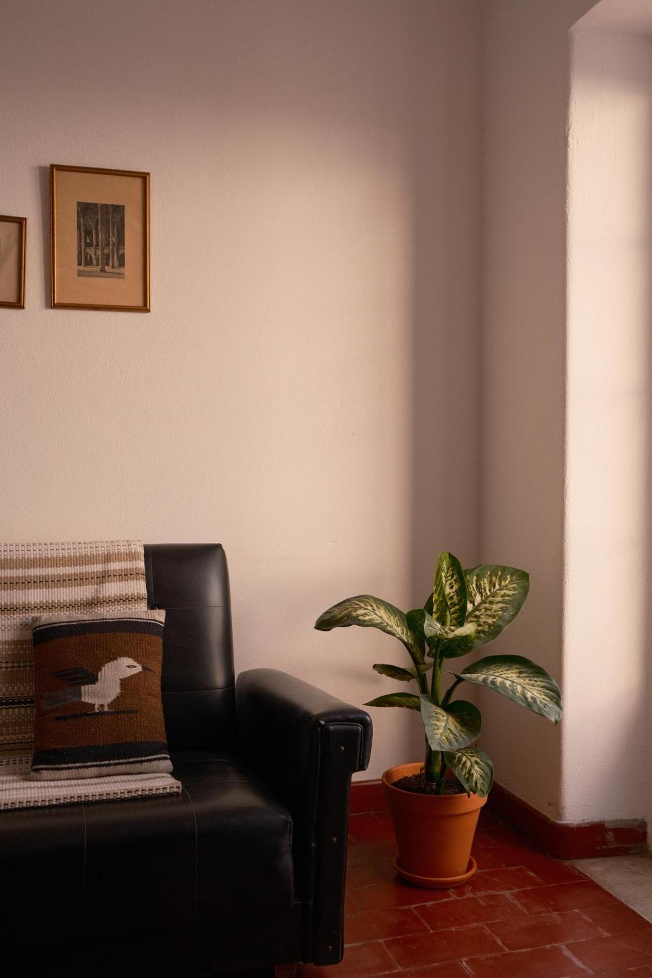 Appartement Manas Coliving à Sines Extérieur photo